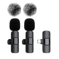 The dual microphone mini mobile phone microphone set with a c-type plug